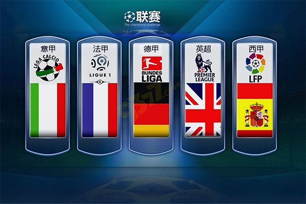 与他们致力